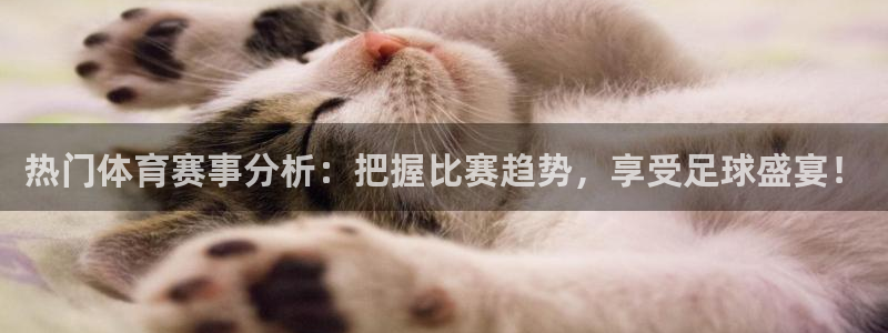 热门体育赛事分析：把握比赛趋势，享受足球盛宴！