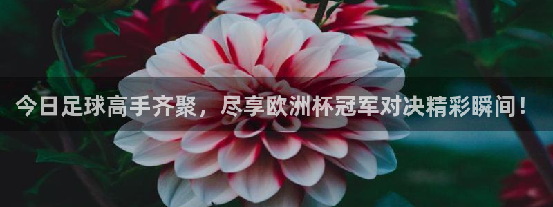 今日足球高手齐聚，尽享欧洲杯冠军对决精彩瞬间！