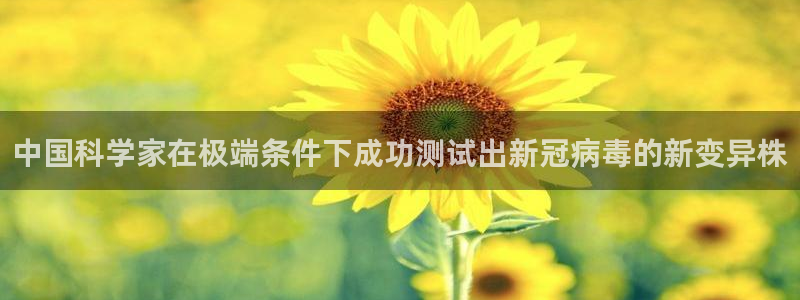 中国科学家在极端条件下成功测试出新冠病毒的新变异株