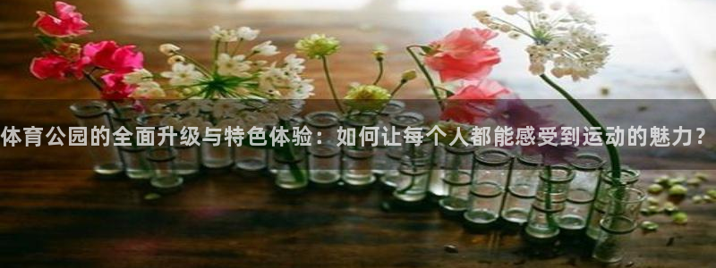 体育公园的全面升级与特色体验：如何让每个人都能感受到运动的魅力？