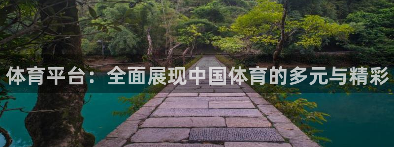 体育平台：全面展现中国体育的多元与精彩