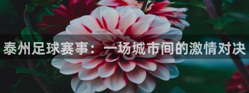 泰州足球赛事：一场城市间的激情对决