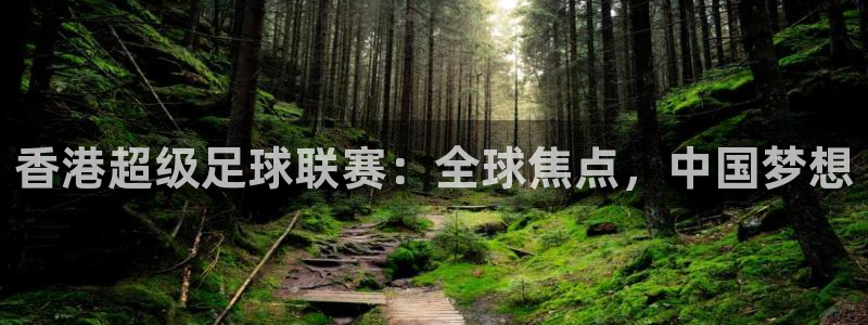 香港超级足球联赛：全球焦点，中国梦想