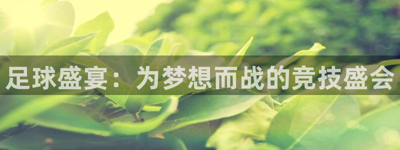 足球盛宴：为梦想而战的竞技盛会