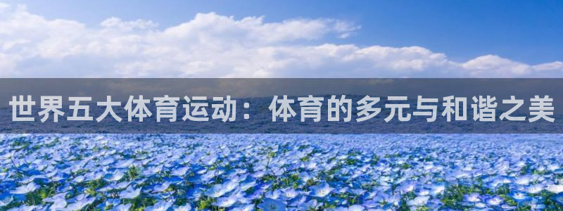 世界五大体育运动：体育的多元与和谐之美