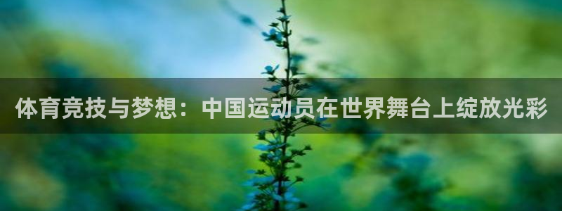 体育竞技与梦想：中国运动员在世界舞台上绽放光彩