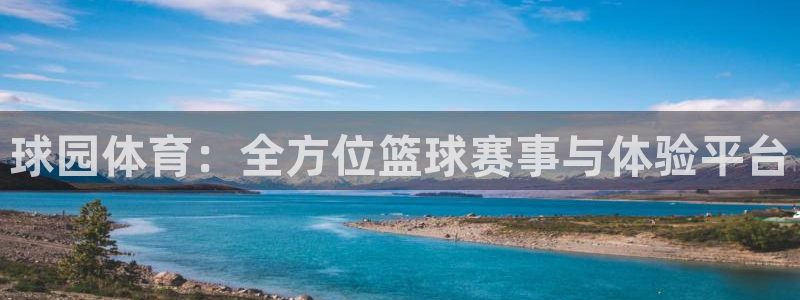 球园体育：全方位篮球赛事与体验平台