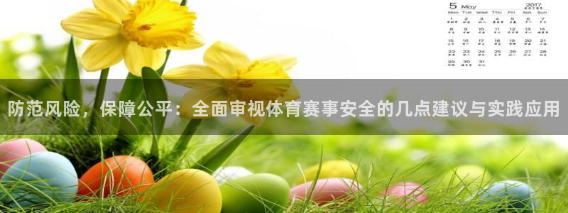 防范风险，保障公平：全面审视体育赛事安全的几点建议与实践应用