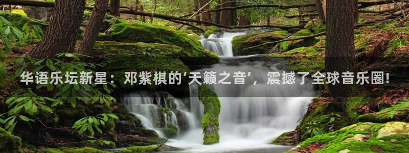华语乐坛新星：邓紫棋的‘天籁之音’，震撼了全球音乐圈!