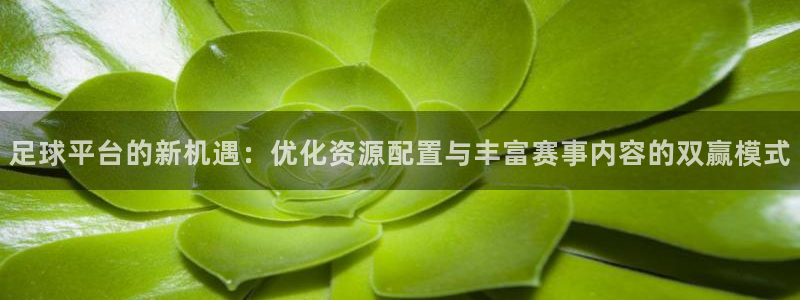 足球平台的新机遇：优化资源配置与丰富赛事内容的双赢模式