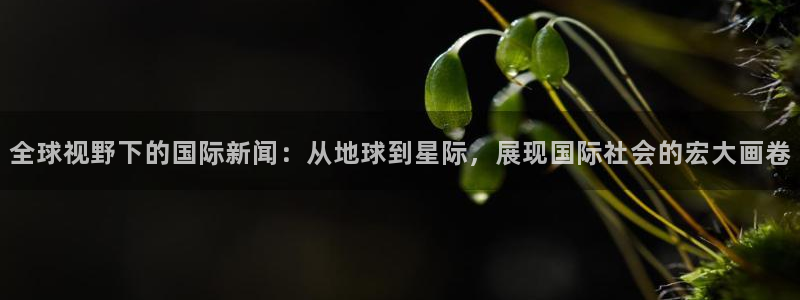全球视野下的国际新闻：从地球到星际，展现国际社会的宏大画卷