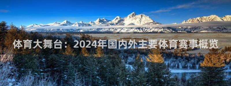 体育大舞台：2024年国内外主要体育赛事概览